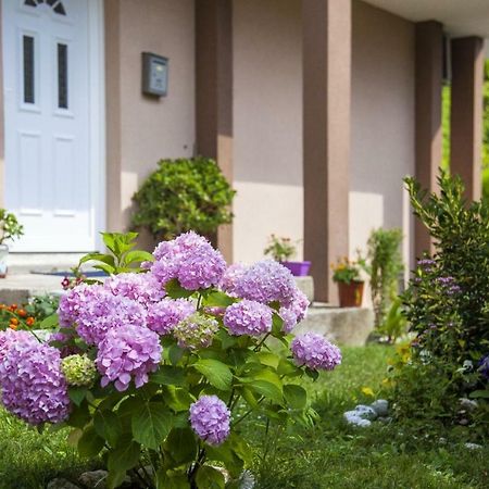 Apartmán Kuca Bulajic Budva Exteriér fotografie