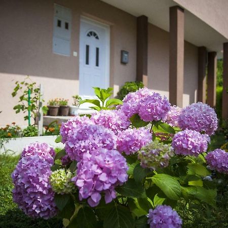 Apartmán Kuca Bulajic Budva Exteriér fotografie