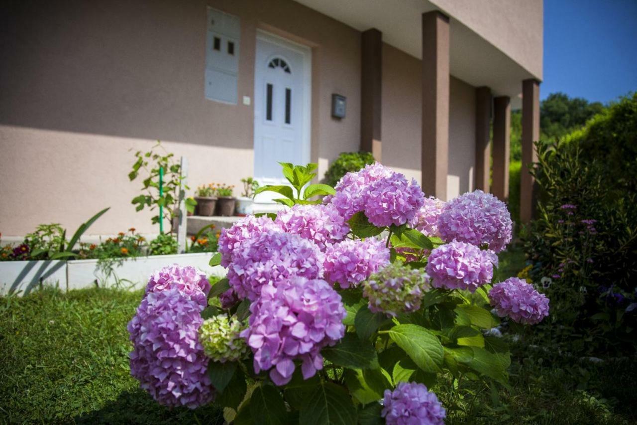 Apartmán Kuca Bulajic Budva Exteriér fotografie